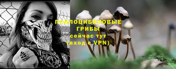 таблы Медногорск