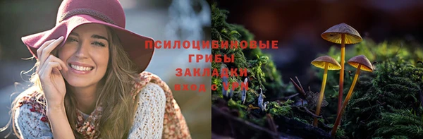 таблы Медногорск
