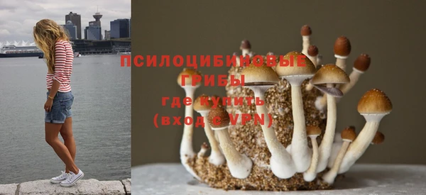 а пвп мука Медвежьегорск