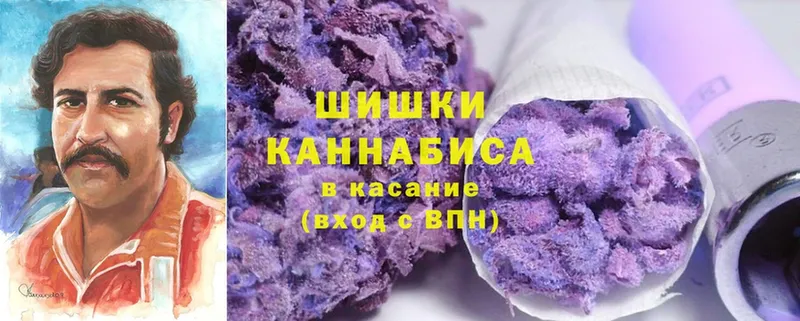 где купить   Кириллов  Бошки Шишки SATIVA & INDICA 